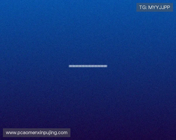 新葡京注册登录入口安全保障措施介绍，保障玩家账户安全